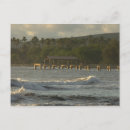 Recherche de kauai cartes postales Palmier
