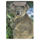 Recherche de koala porte blocs Animal