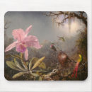 Suche nach kolibris mousepads Regenwald
