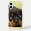 Recherche de le chiot iphone coques Chiots