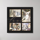 Recherche de photos chien art Amour