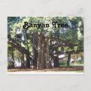 Suche nach banyan tree poster Landschaft