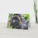 Suche nach kleinkinder karten Tiere