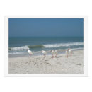 Suche nach ibis poster Strand