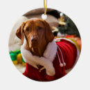 Recherche de hongrois ornements Chien de chasse