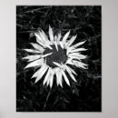 Suche nach alte mode poster Blume