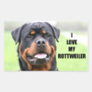 Suche nach rottweiler aufkleber Hund
