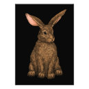 Suche nach niedliches kaninchen poster Braun