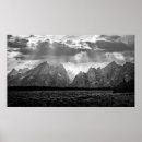 Suche nach schwarze schlange poster Natur