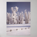 Recherche de winter scene posters Landscape