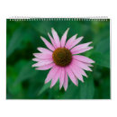 Suche nach rosa blumen kalender Rose