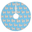 Recherche de bichon maison deco Havanais