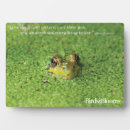 Suche nach frosch fotoplatten Natur