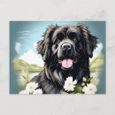 Suche nach neufundland hunde poster Portrait