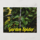 Suche nach netz postkarten Spinne