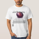Suche nach früchte des geistes tshirts Glaube