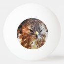 Recherche de oiseaux balles ping pong Animaux