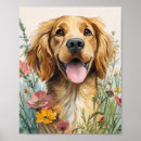 Recherche de golden retriever posters Mur d'art doré