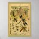 Suche nach naturgeschichte poster Vintag