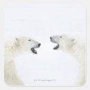 Recherche de la température autocollants Animaux