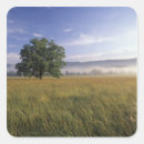 Suche nach smokey berg Tennessee