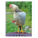 Suche nach huhn kleine notizbücher Hahn