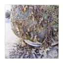 Suche nach meerwasser fliesen Natur