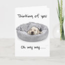 Suche nach traurige lustiges im karten Hund