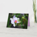 Suche nach phalaenopsis karten Tropisch