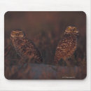 Suche nach zwei tiere mousepads Gras