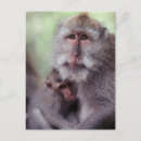 Recherche de indonesia cartes postales Bali