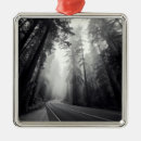 Suche nach wald ornamente Landschaft