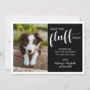 Recherche de chien nouvel an cartes Drôle