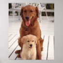 Suche nach zusammengehörigkeit poster Horizontal