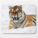 Suche nach wildes tiger mousepads Stilvoll