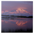 Suche nach denali fliesen Nordamerika