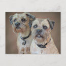 Recherche de bordure cartes postales Animaux