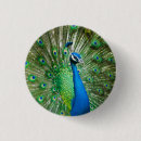 Suche nach blauer pfau buttons Bunt