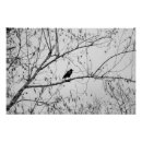 Suche nach rudern poster Vogelvogel