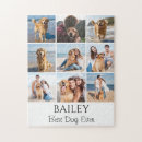 Suche nach weiße hunde puzzle Spaß