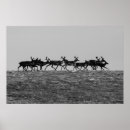 Recherche de renne posters Arctique