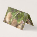 Recherche de chardon cartes visite Floral