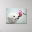 Suche nach singapur leinwandbilder Nah up