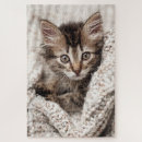 Recherche de cat puzzles Cute