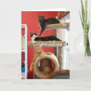 Suche nach lustige neue zuhause karten Für sie/ihn