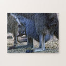 Recherche de kangourou puzzles Joey