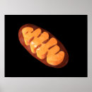 Recherche de mitochondrie posters Horizontal