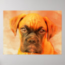 Recherche de boxer dog posters Chien