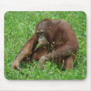 Recherche de orangs outans tapis souris Animal