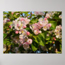 Suche nach apfelblüte poster Hübsch